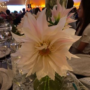 Meet your Posher, Donna